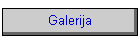Galerija